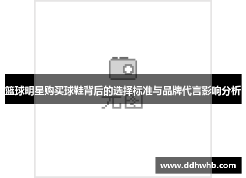 篮球明星购买球鞋背后的选择标准与品牌代言影响分析